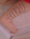 Фотография №3766987